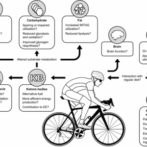 ketone bodies