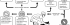 ketone bodies