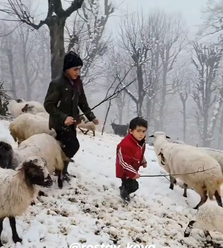 کودکی با زندگی طبیعی