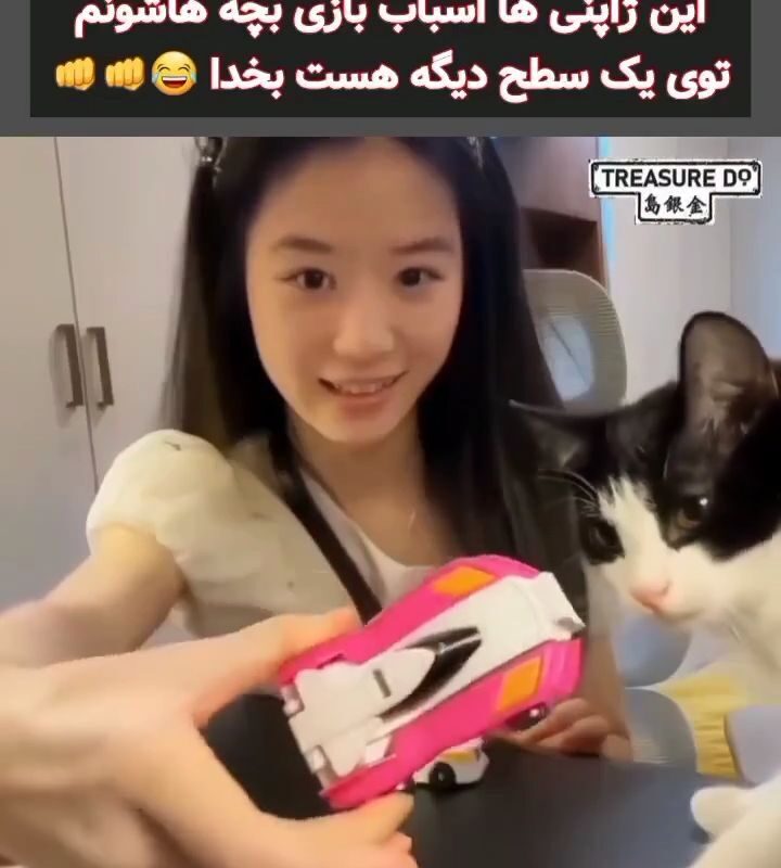 واکنش گربه به اسباب بازی ژاپنی