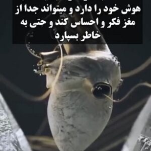 کشف بخشی از مغز در قلب