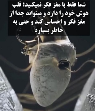 کشف بخشی از مغز در قلب