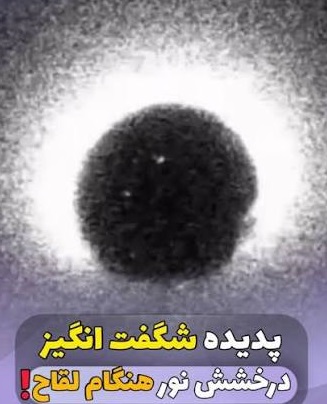پدیده درخشش لقاح چیست