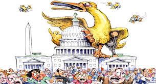 داستان اردک لنگ Lame Duck