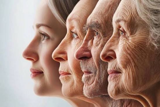 نظریه جدید درباره پیری