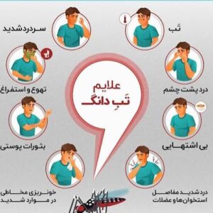 پشه آئدس و تب دنگی