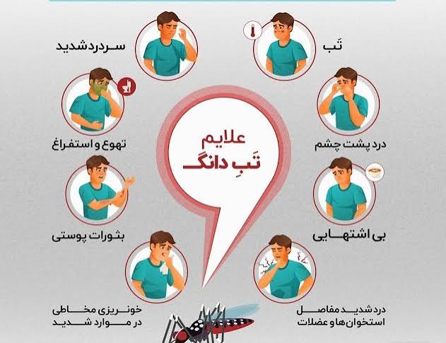 پشه آئدس و تب دنگی