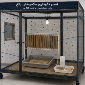 راهنمای جامع پرورش مگس سرباز سیاه (Black Soldier Fly)
