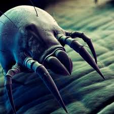 وضعیت بیماری گال (Scabies) در ایران: مروری بر اپیدمیولوژی،