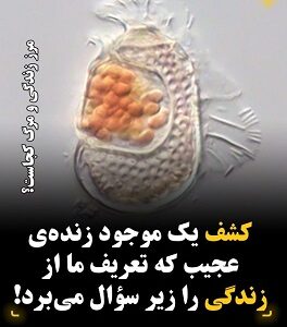 کشف موجود عجیب بین ویروس و باکتری