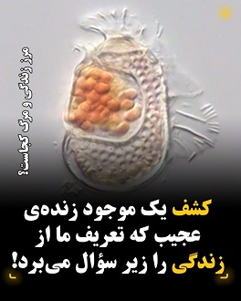 کشف موجود عجیب بین ویروس و باکتری
