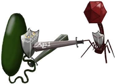 Arms Race جنگ تکاملی پنهان در جهان زیست‌شناسی